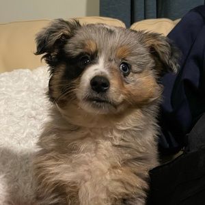 Meet your Posher, Andrew